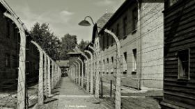 13 Asun Aguinaco PERSPECTIVA-AUSCHWITZ.jpg